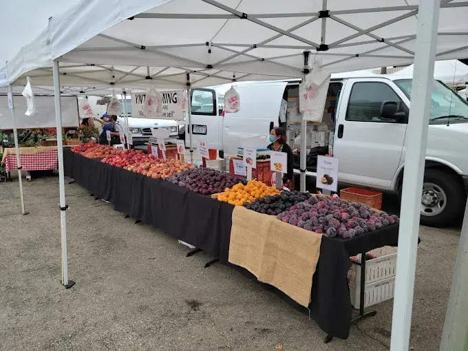 Farmers' market