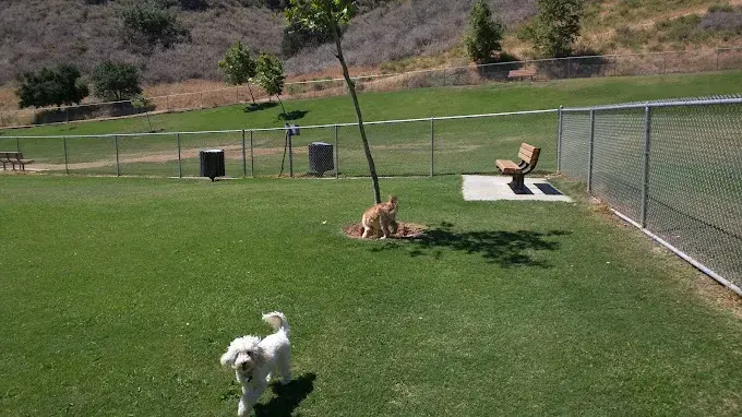 Oak Canyon Dog Park