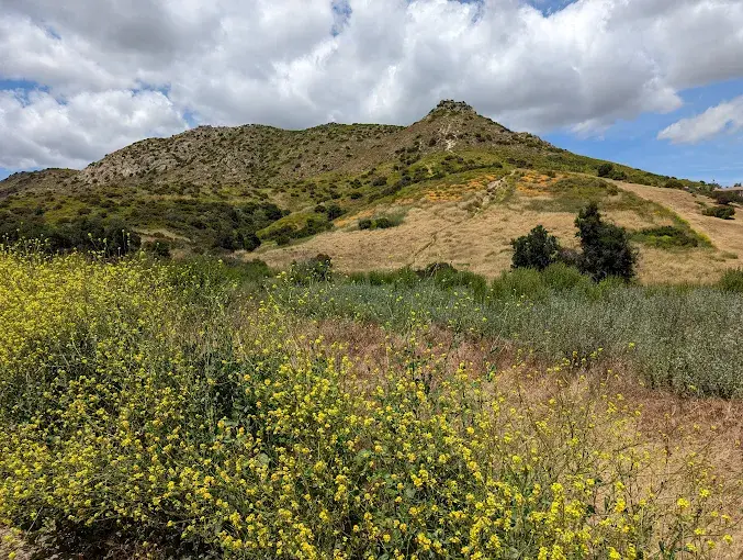 El Scorpion Canyon Park in West Hills, CA